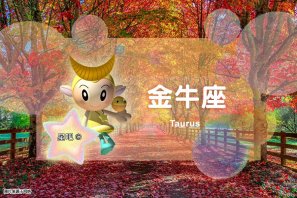 �ǰ����ˣ�12��13�գ�����ţ���ܷ���ʨ��������⣬��Ы������