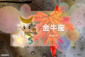 �ǰ����ˣ�2��26�գ�����ţ��������˫�������ԣ�Ħ����������